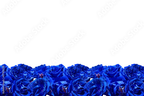 Obraz na płótnie Blue Roses Frame w salonie