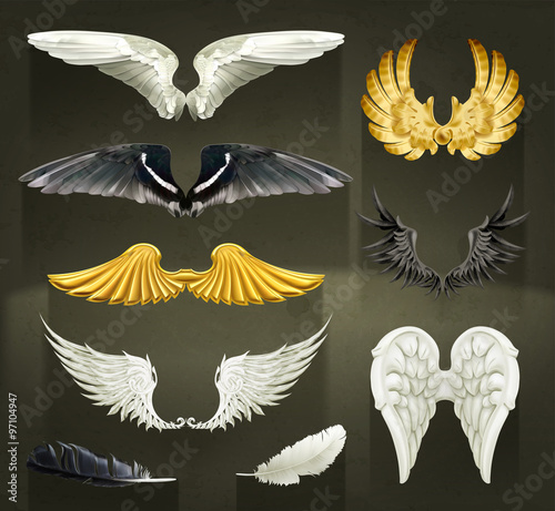 Wings, set vector illustrations on black background
