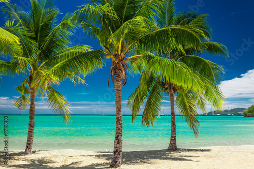 Three palm trees over blue lagoon in Fiji