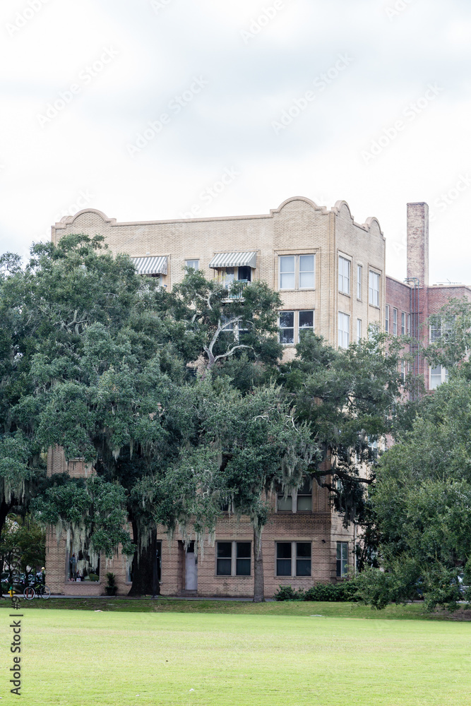 Fototapeta premium Stone Building Beyond Spanish Moss in Trees
