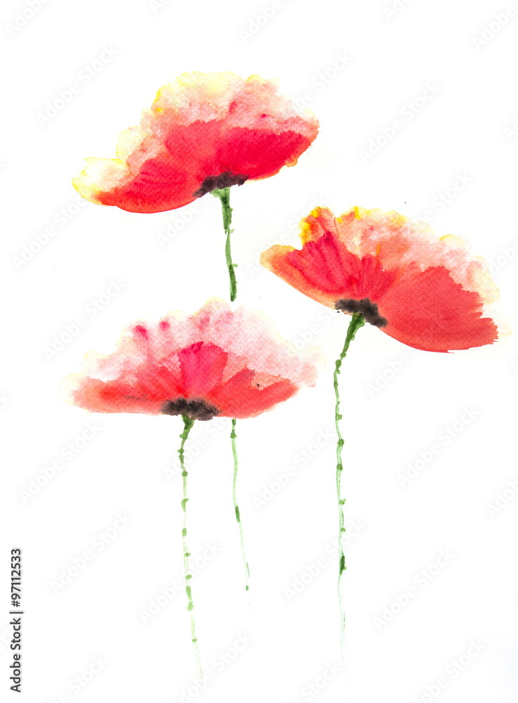 Beautiful stylized red poppy flowers on white, Acrylic color painting Beautiful stylized red poppy flowers on white, Acrylic color painting