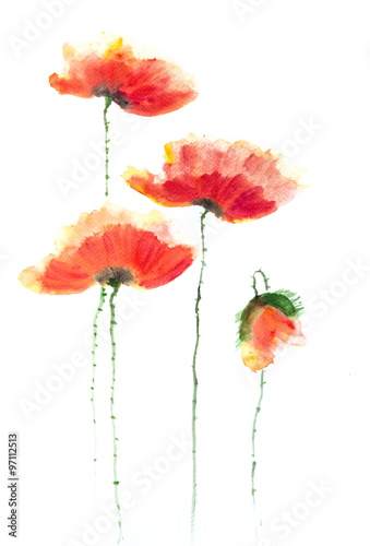 Beautiful stylized red poppy flowers on white  Acrylic color painting
