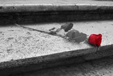 Black and white photo of a red rose on a stairs