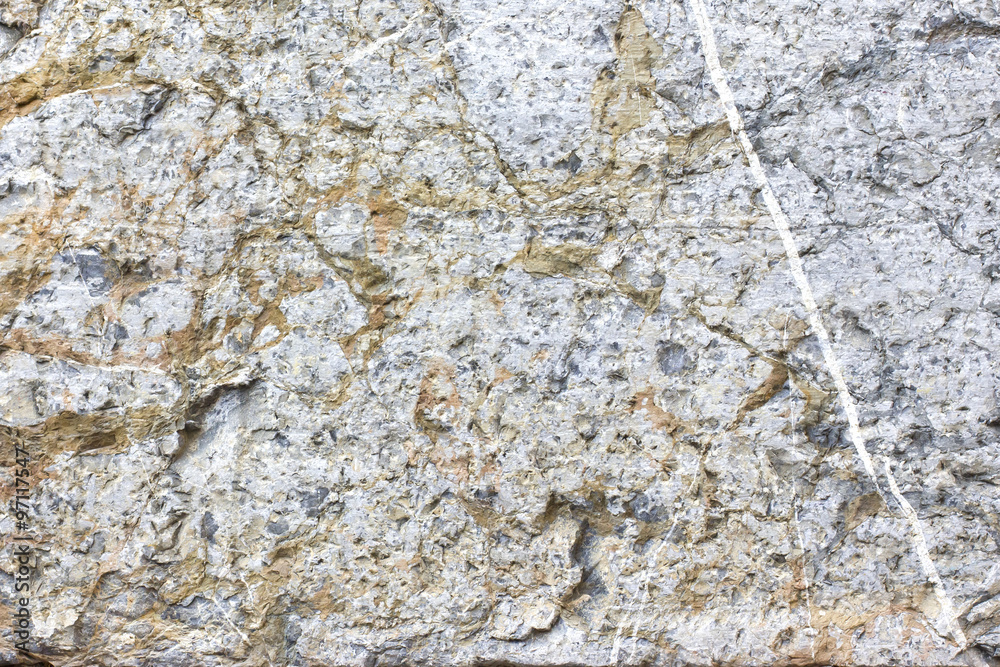 Obraz premium Background metamorphic stone surface