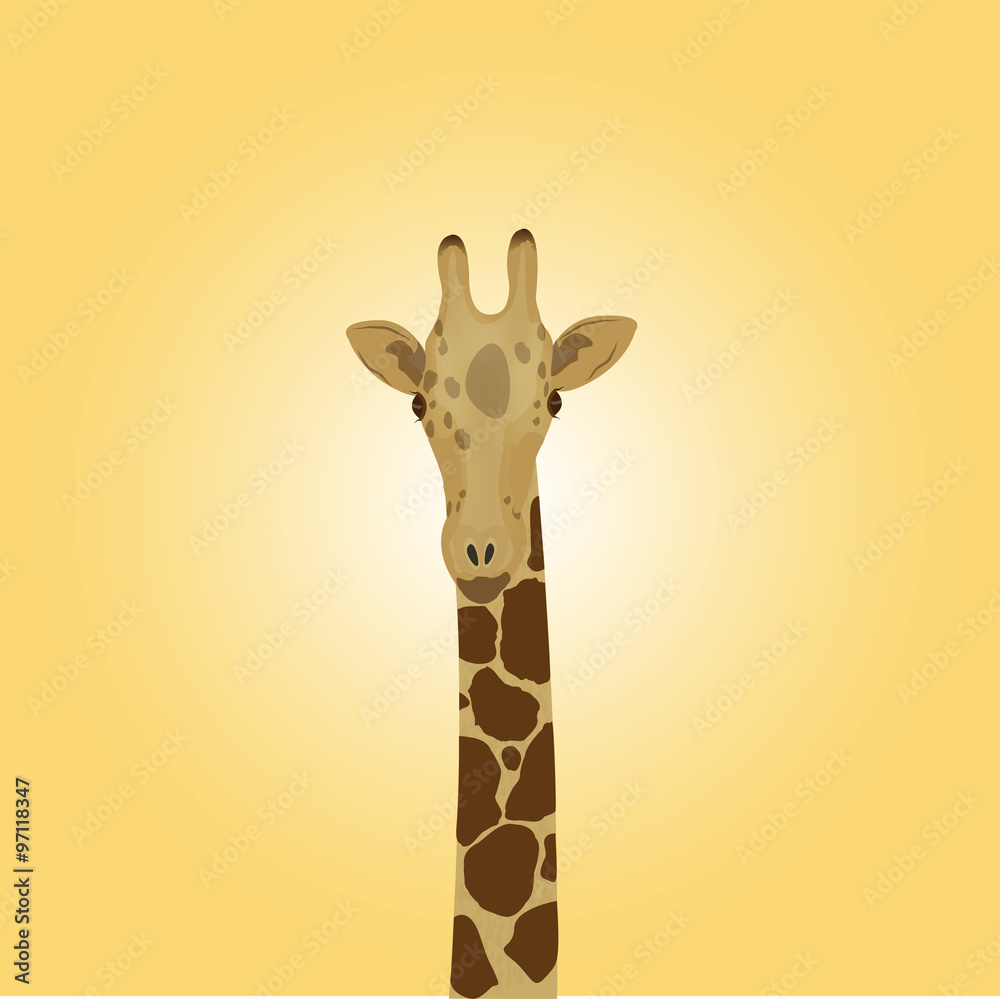 the head of a giraffe on a yellow background