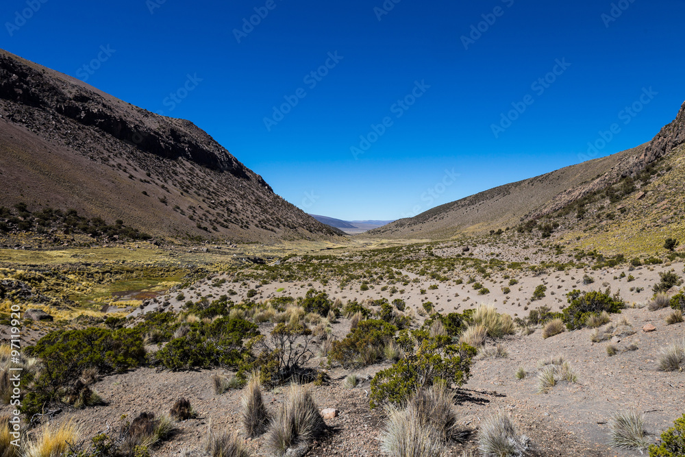 Landscape of an arid valley in the Andean highlands