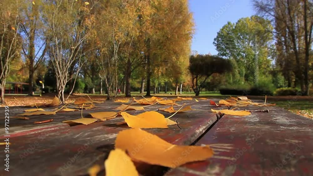 Escena otoñal desde una mesa en parque publico llena de hojas  caidas y personas corriendo y paseando
