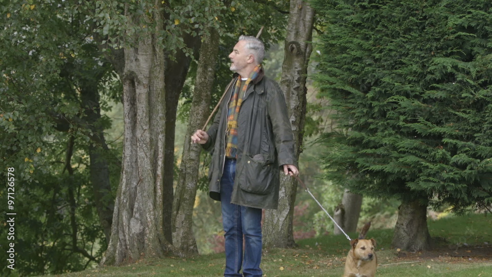 Mature man enjoying the view whilst walking his dog in a field