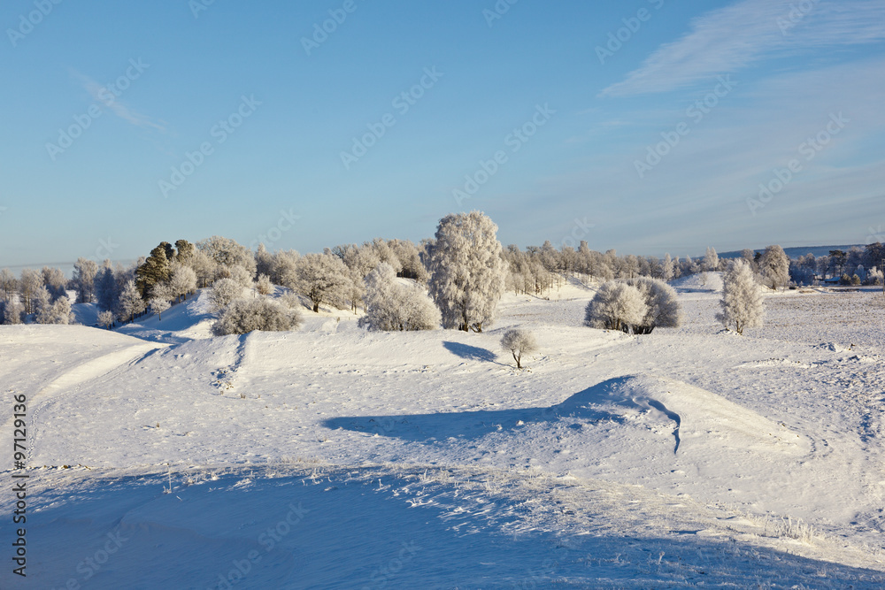 Snowy winter landscape Snowy winter landscape
