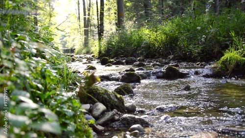 Bach im Wald mit Wasser und Vogelgezwitscher Audio photo