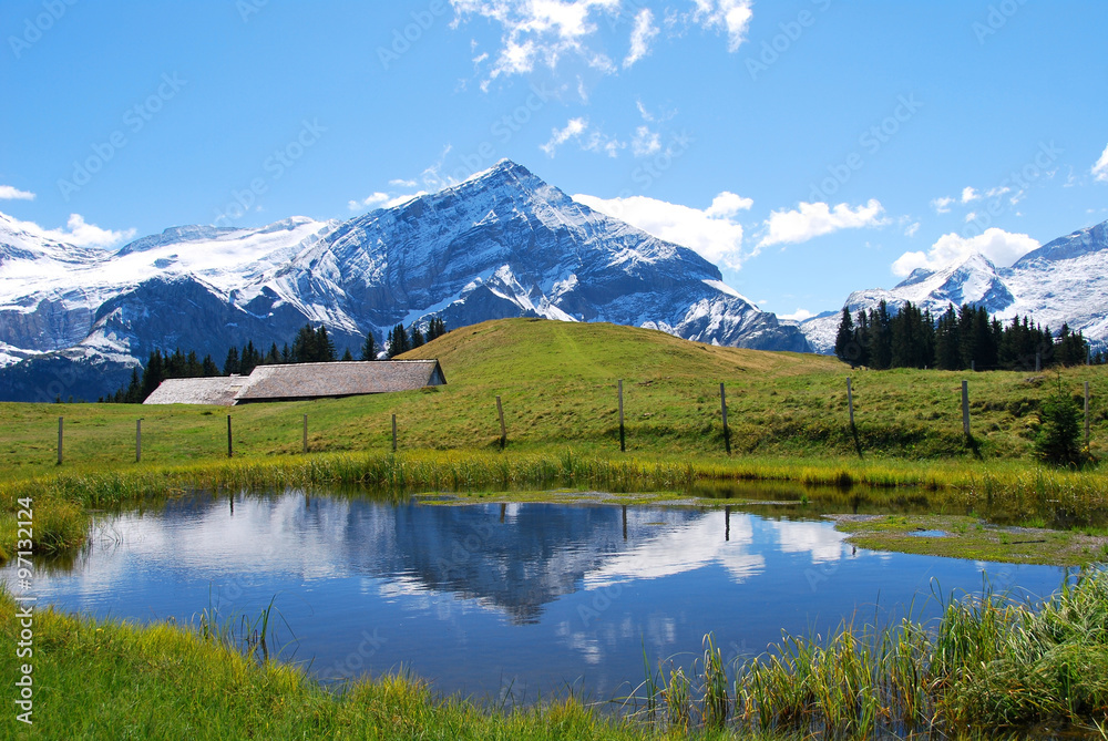 beautiful Swiss landscape in the alps/ beautiful Refection of mountain in lake in landscape in the alps in summer.