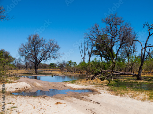 Flooded road in Okavango delta