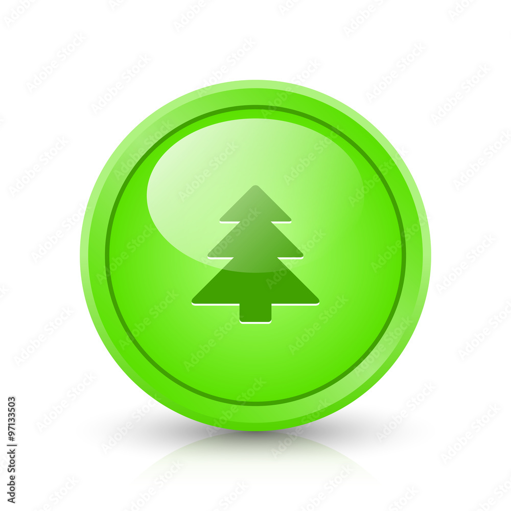 Vector button. Vector button.