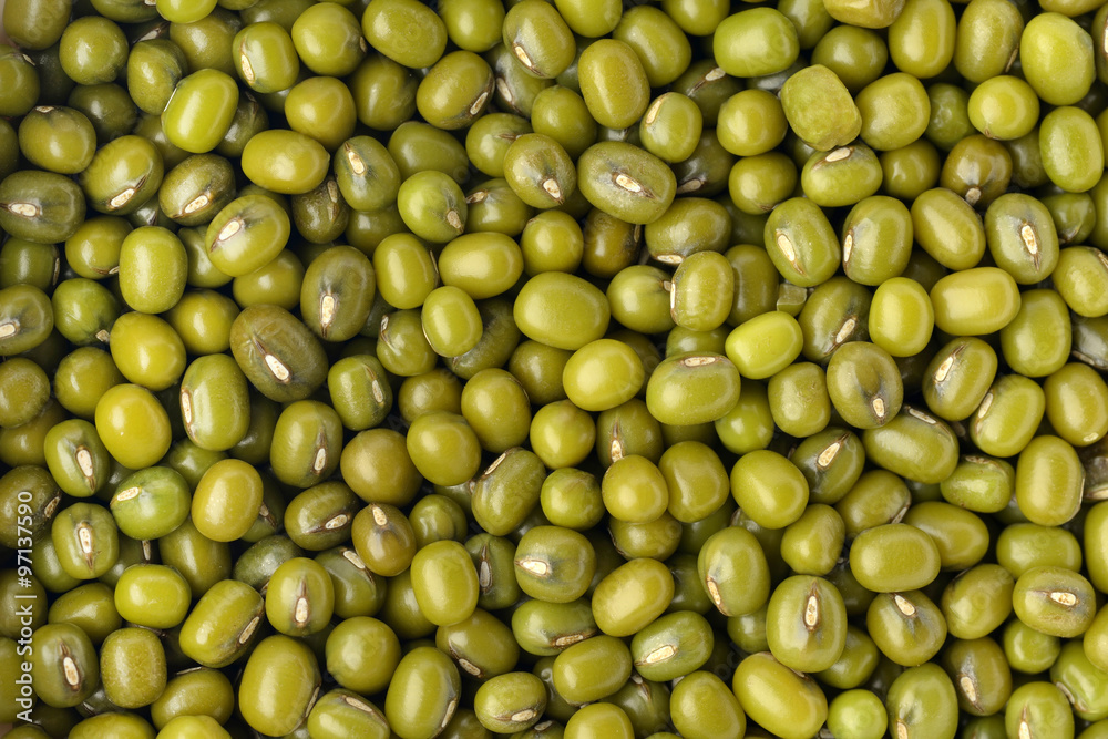 Green Bean / High resolution close up of whole green lentil shot in studio Green Bean / High resolution close up of whole green lentil shot in studio