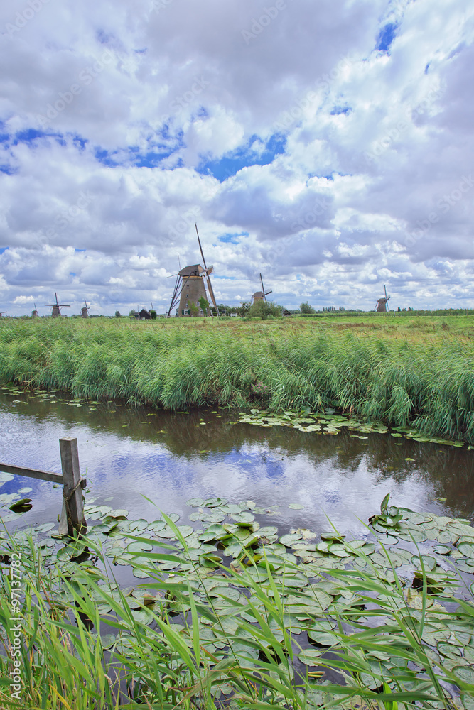 Canal with lilies and windmills on a cloudy, windy day at Kinderdijk, The Netherlands