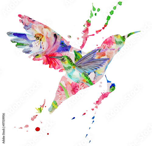 hummingbird multicolored on white background