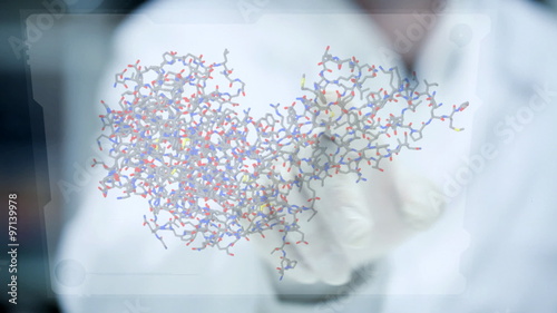 Researcher rotating growth hormone amino acid chemical molecule on transparent touch display photo