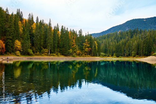 Beautiful reflection of trees in mountain forest lake