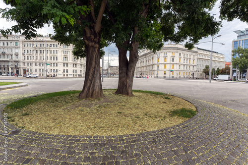 Photography Twin Trees near Hochstrahlbrunnen, Vienna.