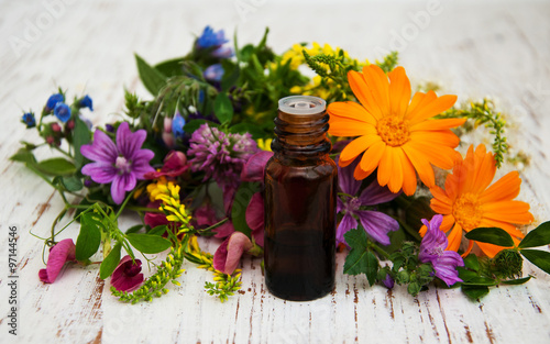 wild flower and oil
