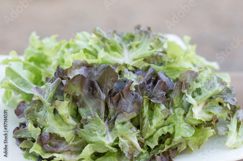 vegetable for salad