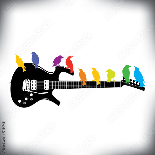 Rainbow of Birds on guitar