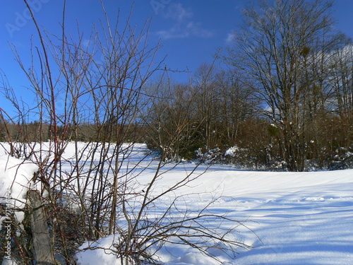 Neige dans les Alpes - Snow in the Alps (Vercors), France photo