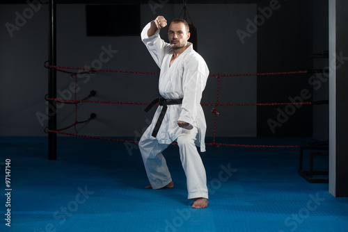 Taekwondo Fighter Pose © Jale Ibrak