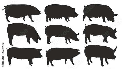 Silhouettes of pigs.