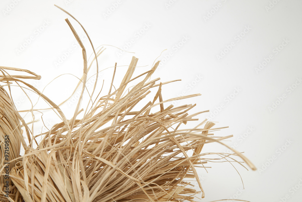 Obraz premium Raffia 