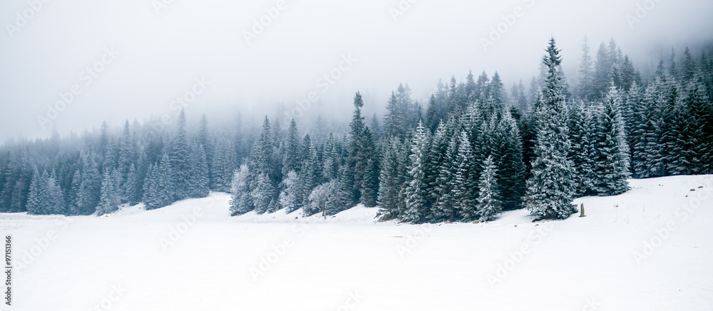 Naklejka premium Zima biały las z śniegiem, Bożenarodzeniowy tło
