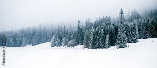Winter white forest with snow, Christmas background © blas