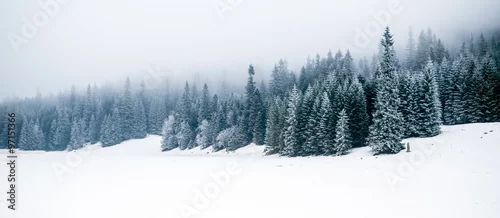 Panel kuchenny z motywem Winter white forest with snow, Christmas background