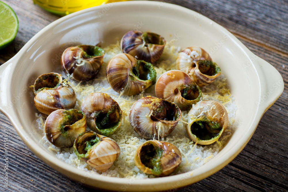 Bourguignonne snail au gratin StockFoto Adobe Stock