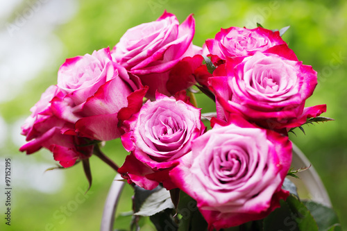 Pink fresh roses on wooden background