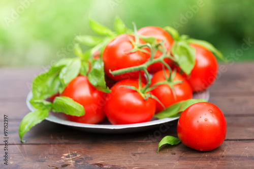 Fresh organic tomatoes in metal plate