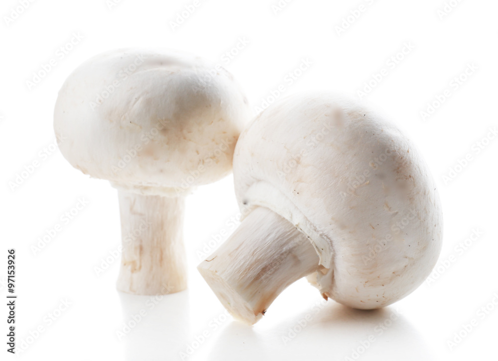 A pair of champignon mushrooms isolated on white background A pair of champignon mushrooms isolated on white background