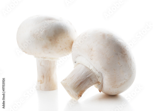 A pair of champignon mushrooms isolated on white background