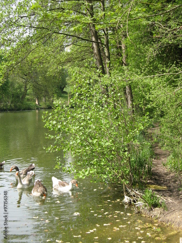 Ile de France, - Essonne - Brétign-sur-Oge - Etang de Carouge photo
