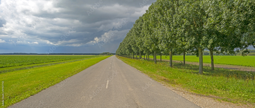 Road through a rural landscape in summer