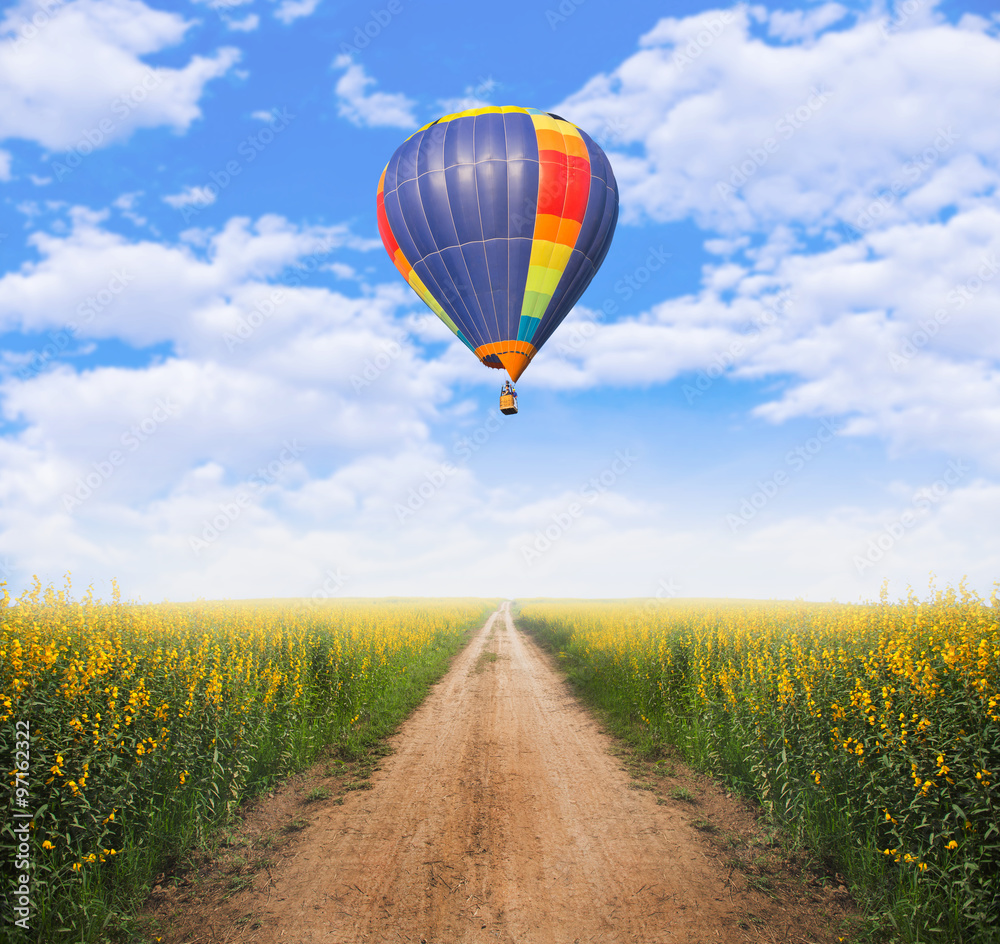 Naklejka premium Hot air balloon over dirt road into yellow flower fields with cl