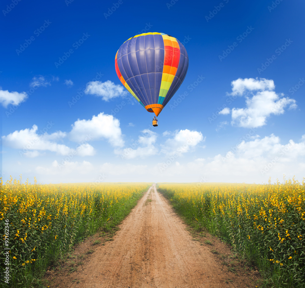 Naklejka premium Hot air balloon over dirt road into yellow flower fields with cl