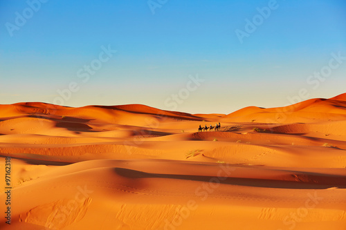 Fototapeta Naklejka Na Ścianę i Meble -  Sand dunes in the Sahara Desert