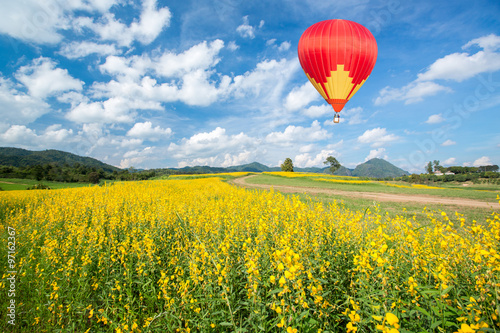 Hot air balloon over yellow flower fields against blue sky