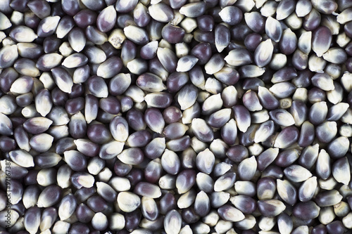 Blue Popcorn Kernel Background