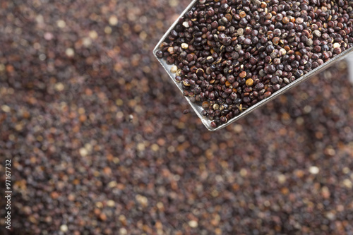 Scoop of Black Quinoa Seeds