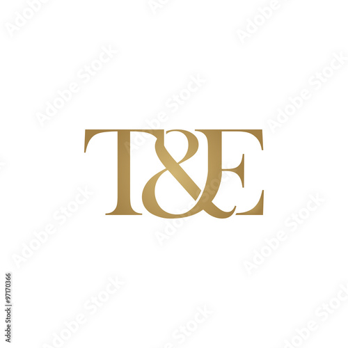T&E Initial logo. Ampersand monogram logo