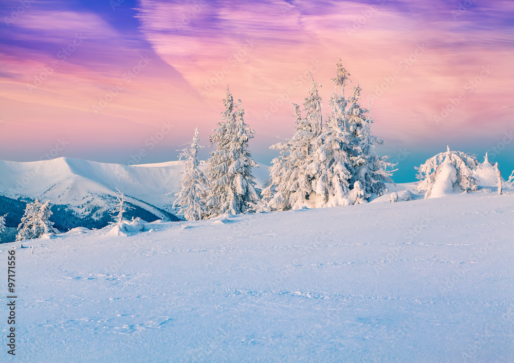 Colorful winter scene in the snowy mountains.