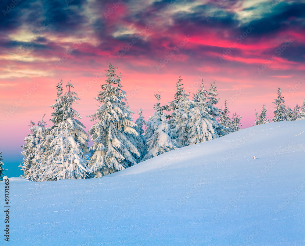 Colorful winter scene in the snowy mountains.