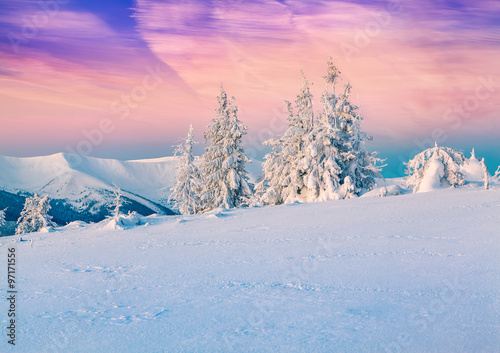 Colorful winter scene in the snowy mountains. © Andrew Mayovskyy